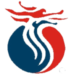 长江证券财智版(金长江财智版)