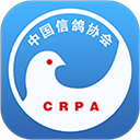 中国信鸽协会app
