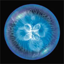 逃跑吧少年华为版