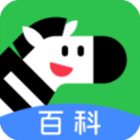 斑马百科App