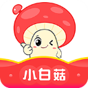 小白菇app