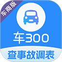 车300专业版官方版