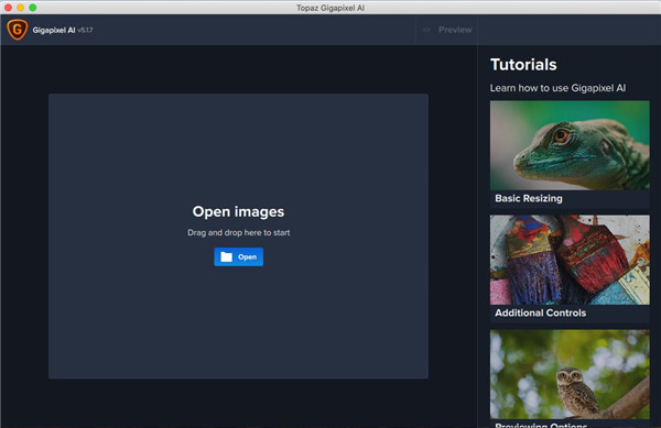 Topaz Gigapixel AI mac版下载