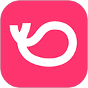 灰豚数据直播分析平台官方版