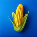 我的农场官方正版