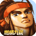 三国战纪九游版