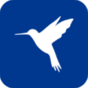 蓝鸟抓包高级版