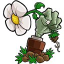 植物大战僵尸转基因版手机版