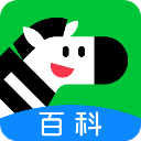 斑马百科电视版