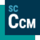 Siemens Star CCM+ 2510